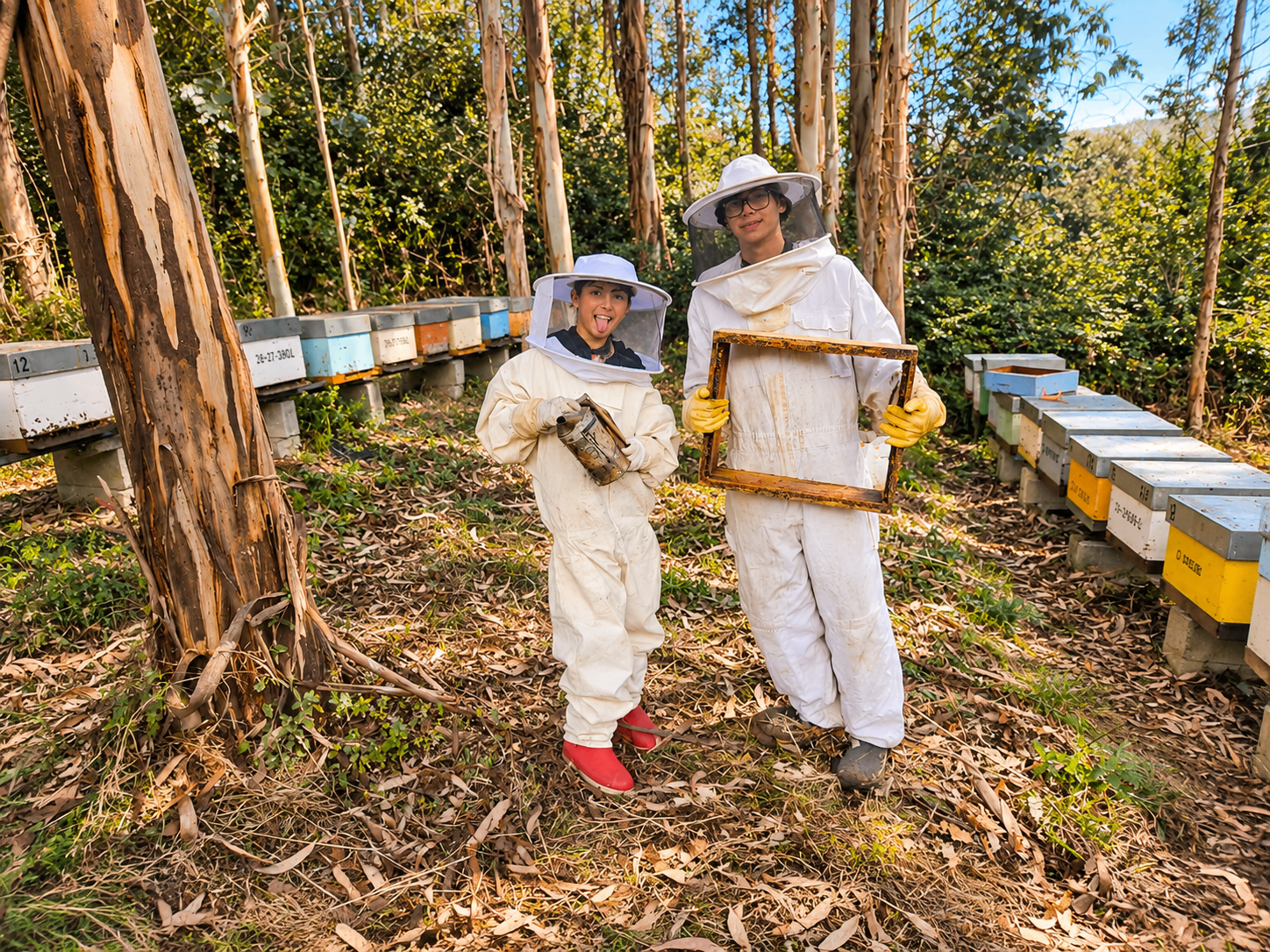 Apicultores no colmenar do eucaliptal